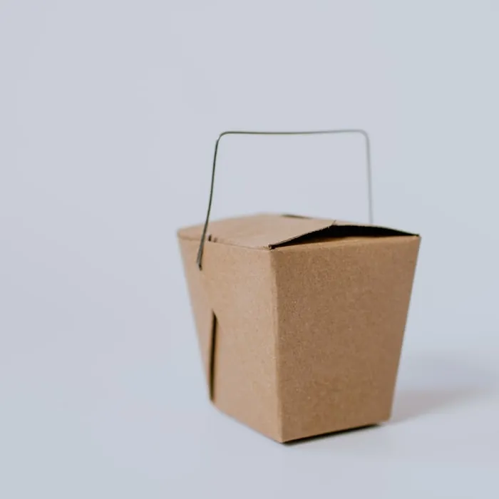 Kraft Food Container